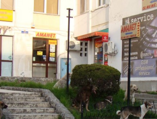 Casierele unui amanet din Mangalia, urmărite penal pentru delapidare